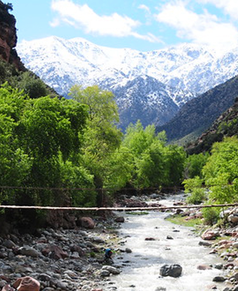 day trip from marrakech to ourika