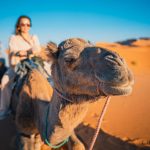 morocco desert tours