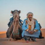 camel in merzouga